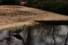 artis_maart07_02_small.jpg