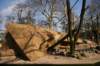 artis_maart07_09_small.jpg