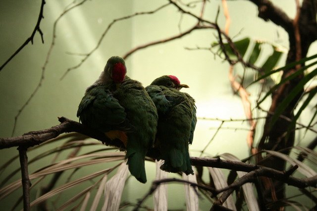 artis_maart07_04.jpg
