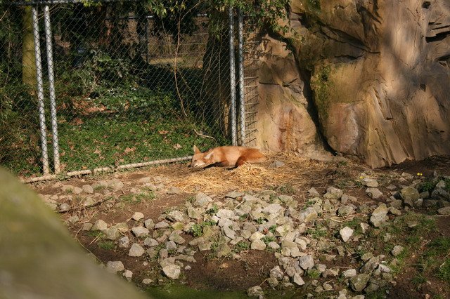 artis_maart07_11.jpg