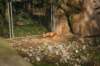artis_maart07_11_small.jpg