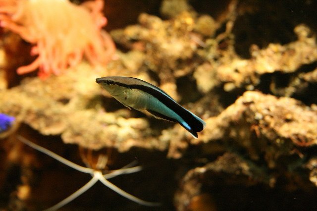 artis_maart07_17.jpg