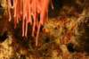 artis_maart07_18_small.jpg