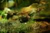 artis_maart07_19_small.jpg