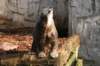 artis_maart07_20_small.jpg