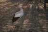 artis_maart07_22_small.jpg
