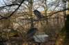 artis_maart07_23_small.jpg