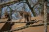 artis_apr07_01_small.jpg