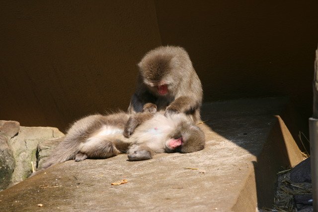 artis_apr07_02.jpg
