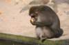 artis_apr07_03_small.jpg