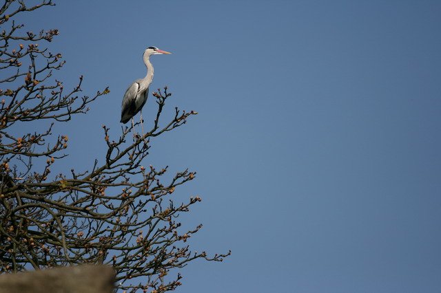 artis_apr07_04.jpg