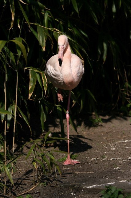 artis_apr07_05.jpg