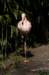 artis_apr07_05_small.jpg