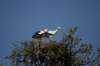 artis_apr07_06_small.jpg