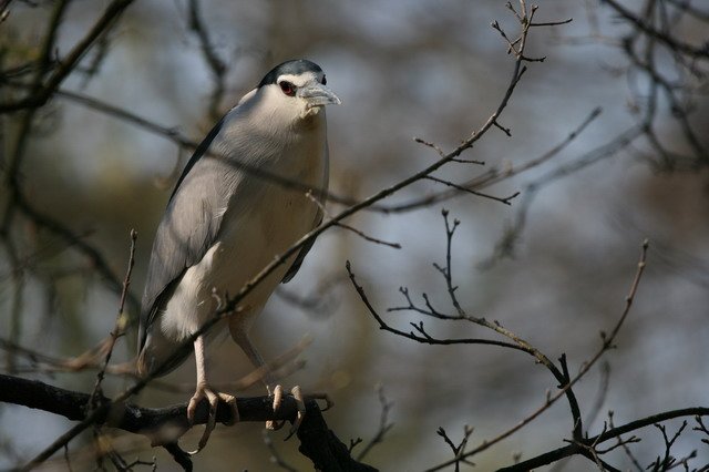 artis_apr07_09.jpg