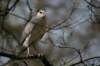 artis_apr07_09_small.jpg