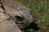artis_apr07_10_small.jpg