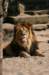 artis_apr07_15_small.jpg