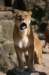 artis_apr07_16_small.jpg