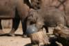 artis_apr07_17_small.jpg