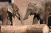artis_apr07_18_small.jpg