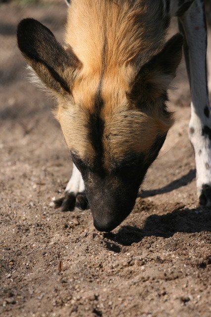 artis_apr07_19.jpg
