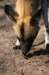 artis_apr07_19_small.jpg