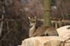 artis_apr07_21_small.jpg