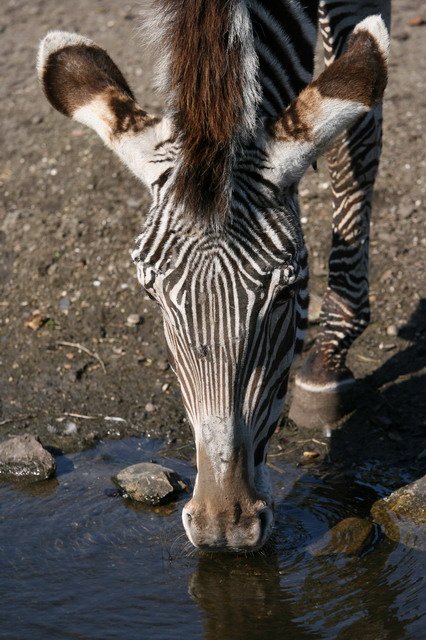 artis_apr07_22.jpg