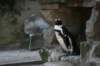 artis_apr07_24_small.jpg