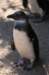 artis_apr07_26_small.jpg