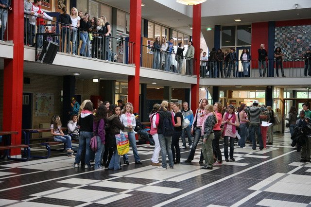 examenstunt_03.jpg