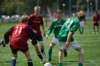 tulpenburgcup_55_small.jpg