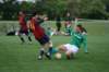 tulpenburgcup_65_small.jpg